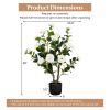 38 Inch Artificial Camellia Tree Faux Flower Plant in Cement Pot